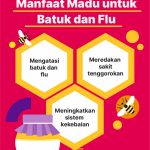 Cara Mengatasi Flu Dan Batuk Secara Alami Panduan Lengkap Pemulihan Dan Pencegahan Tanpa Obat