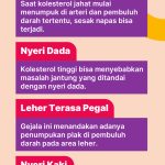 Gejala Kolesterol Yang Sering Diabaikan Waspadai Tanda Tanda Tersembunyi Untuk Kesehatan Optimal