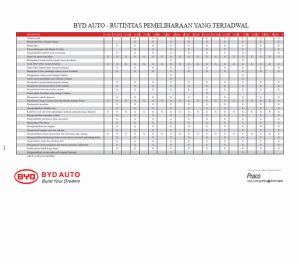 Panduan Lengkap Jadwal Service Rutin Mobil Listrik Byd Untuk Performa Optimal