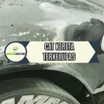 Apakah Cat Mobil Listrik Mudah Terkelupas Saat Dipakai Di Pantai